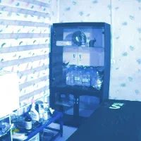 اموزش تخصصی غمز ودلک اولین موسس برزگر،/اوات/|خدمات آموزشی|تهران, توحید|دیوار