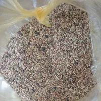 دانه کبوتر