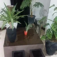 نیم ست|مبلمان خانگی و میز عسلی|کرج, گلشهر|دیوار