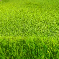 کارخانه چمن مصنوعی ماهون چمن از تولید بمصرف