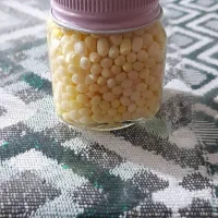 حلزون اتاچینا و خاویار حلزون|خزنده|گلپایگان, |دیوار