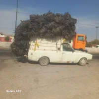 تیف نواری کارکرده