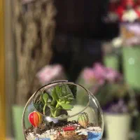 تراریوم طرح ساحل