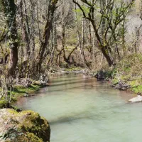 کارمند در امور حقوقی و مالی و اداری وحسابداری