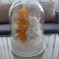 شاخه نبات عروس