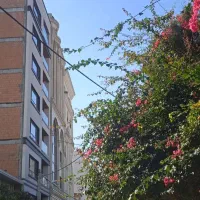 زیر قیمترین ملک کلنگی ۲۶۵متری ساحلی بابلسر