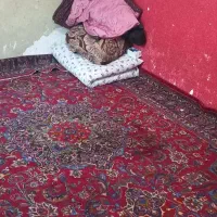 خانه دربست در ۳ طبقه یادگار دستغیب