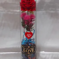 *رز ۳۰ تک رز مخمل خارجی *|گل مصنوعی|قرچک, |دیوار