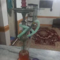 طعم پرتقال|کلکسیون و سرگرمی|قوچان, |دیوار