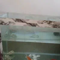 اکواریوم بزرگ نو