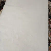 پالاز موکت|موکت|قدس, شهر‌قدس|دیوار