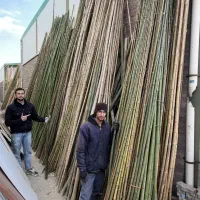 چوب بامبو|مصالح و تجهیزات ساختمان|چهاردانگه (تهران), |دیوار