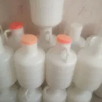 دبه خیار شوری ۲۴ عدد سالم