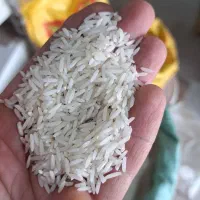 طارم محلی فریدونکنار