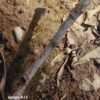 زمین فروشی پیروزی ۴