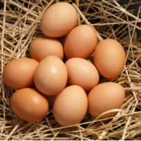 تخم مرغ محلی تازه
