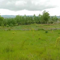۱۳۷۵متر زمین(پلاک شده طی دو سند تک برگ)نزدیک شهر