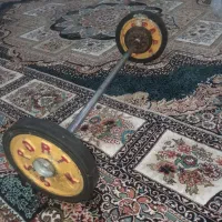 وزنه بدن سازی