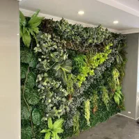 گرین وال نیچر