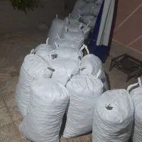 گردوی روغنی وکاغذ اصل