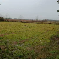 فروش ویلا 210 متری بابنای 85 متری ویو ابدی شالیزار|فروش خانه و ویلا|لشت نشا, |دیوار