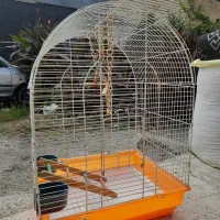 قفس پرنده|لوازم جانبی حیوانات|رشت, پیرکلاچای|دیوار