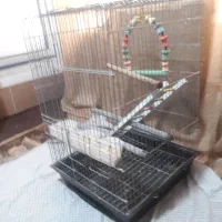 یک عدد قفس بزرگ ۹۰۰|لوازم جانبی حیوانات|قم, باغ کرباسی|دیوار