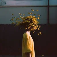 رهنمایی کنید