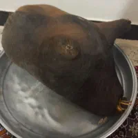 هیزه|لوازم جانبی حیوانات|کوهدشت, |دیوار