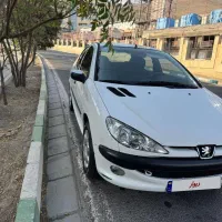 ۲۰۶اس دی بی رنگ فوری