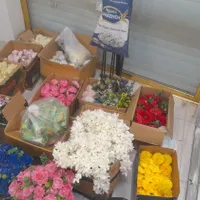 گل مصنوعی|گل مصنوعی|سقز, |دیوار