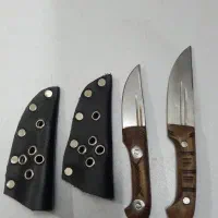 چاقو ریز به کار آمد.  کمپین
