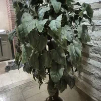 درختچه مصنوعی خارجی