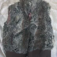 خز خوش پوش|لباس|دهدشت, |دیوار