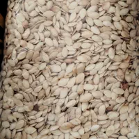 گردو بلغاری تخمه کدو تخمه افتابگردان|خوردنی و آشامیدنی|اصفهان, هفتون|دیوار