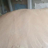 بذر گندم لاین ۱۷ بوجاری شده|عمدهفروشی|کلاله, |دیوار