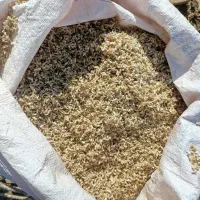 گل گون
