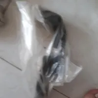 نرم کننده کلاچ استارت پمپ بنزین بلبرینگ چرخ|قطعات یدکی و لوازم جانبی|شاهین‌شهر, شهرک پردیس|دیوار