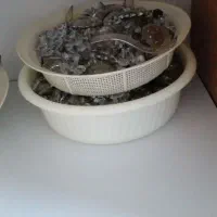 کریستال لوستر|لوستر و چراغ آویز|اردبیل, |دیوار