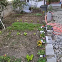 سوییت اجاره ای شبانه