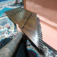 سنتورچوب گردو اصل