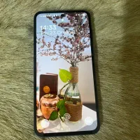 معاوضه با آیفون ۱۳ یا ۱۲|موبایل|تهران, آرژانتین|دیوار