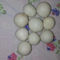 عتیقه الماس آسیا