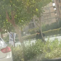 اجاره ی یک باب مغازه ی ساندویچی