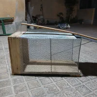 تله گربه گیری