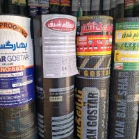 ایزوگام شرق سالاری
