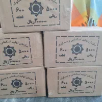 باکس سکه پانصد تومنی|کلکسیون سکه، تمبر، اسکناس|تهران, حسین‌آباد|دیوار