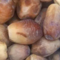 خرمای زاهدی طبس