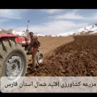 زمین-کشاورزی-160-هکتار-اجاره-جهت-کشت-دانه-روغنی