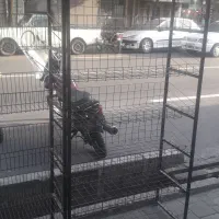 استند|فروشگاه و مغازه|تهران, دهم فروردین|دیوار